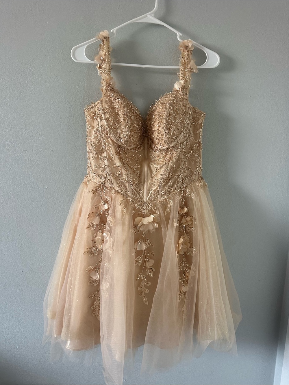 Cinderella Peach-Beaded Tulle Dress